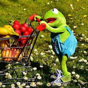 Meet your Posher, Desiree